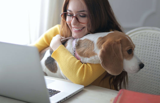 10 ways to keep your pets entertained and active indoors.